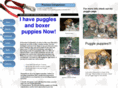 preciouscompanions.com