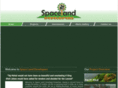 spacelanddeveloper.com