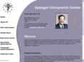 spengelchiropractic.com