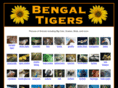 bengaltigers.com