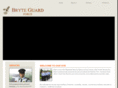 bryteguardforce.com