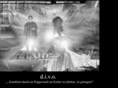 divo-online.com