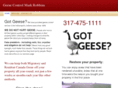 gotgeeseindianapolis.com