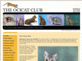 ocicatclubuk.org