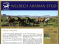 welbechstud.co.za