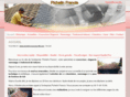 pichelin-couvreur-86.com