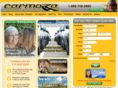 auto-move.com