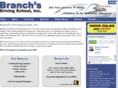branchesdriving.com