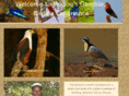 gambianbirds.com