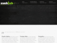 zinklab.com