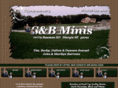 sandbminis.com