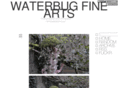 waterbugfinearts.com
