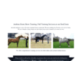 arabianhorseshowtraining.com