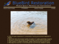 bluebirdrestoration.com