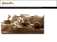 goldendox.com