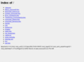 avanzsoft.com