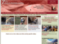narrowescapes.com