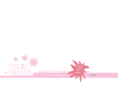 rosaliebeauvais.com
