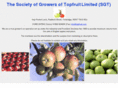 sgtfruit.com