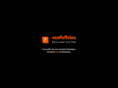 bizonmediagroepbv.com