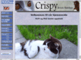 crispycat.com