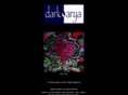 darkarya.com