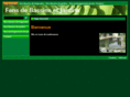 fansdebassinsetjardins.com