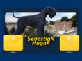 sebastianhogar.com