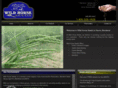 wildhorseseeds.com