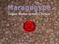maragogype.com