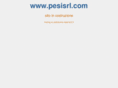 pesisrl.com