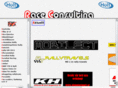 raceconsulting.com