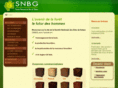 snbg-gabon.com