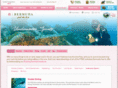diveinbermuda.com