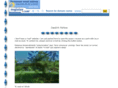fishlow.com