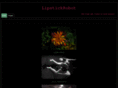 lipstickrobot.com