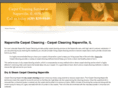 napervillecarpetcleaningil.com