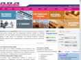 pemseng.com