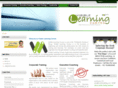 visible-learning.com