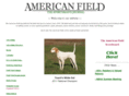 americanfield.net