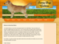 sunnydaygoldens.com