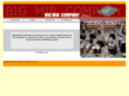 bigmirco.com