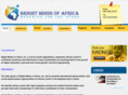 brightmindsafrica.org