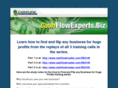 flipanybusiness.com