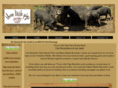 rarebreedmeat.com
