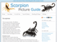 scorpionpictureguide.com