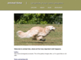 animaltimeonline.com