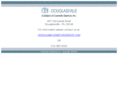 cei-douglassville.com