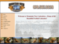 mountainviewlabs.com