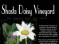 shastadaisyvineyard.com